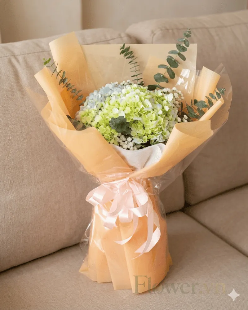 Hoa Daisy Dream