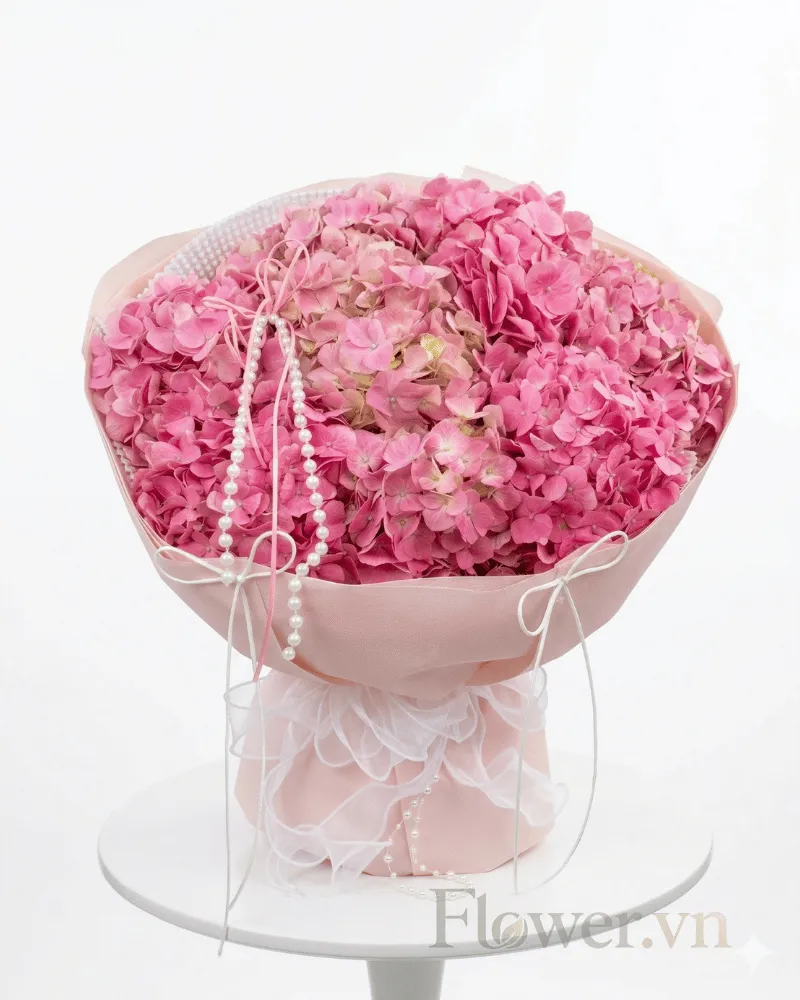 Blush Harmony