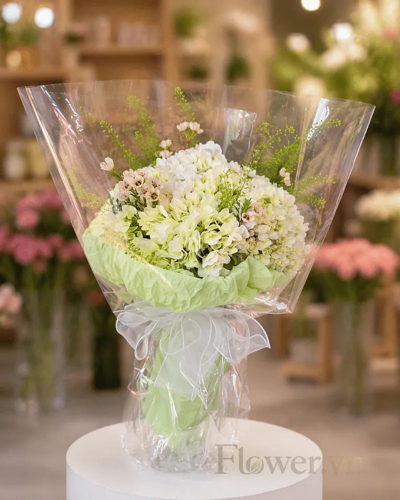 Hoa Tươi Angel Bloom