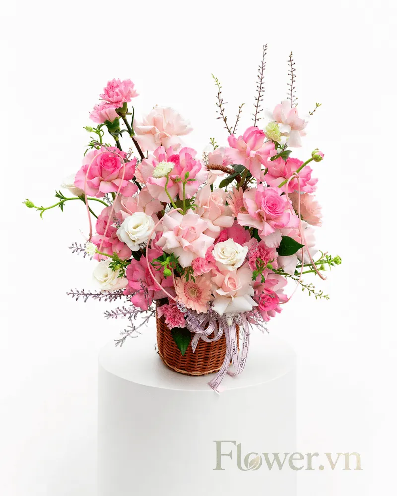 Hoa Tươi  Crown Petals